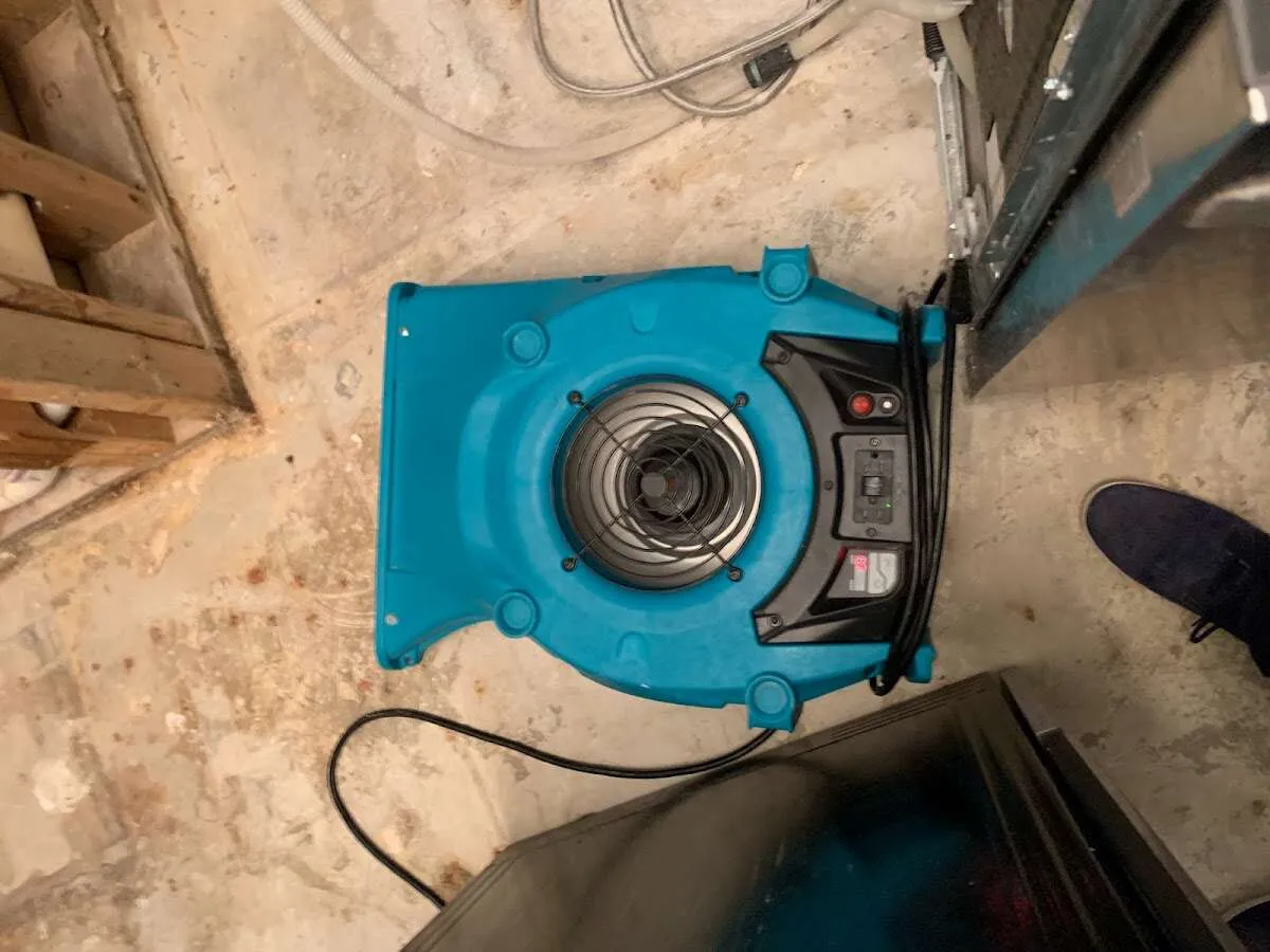 Air mover drying equipment for Mold Remediation & Removal in Albemarle